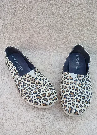 Тапули от toms,размер 39🌷🌸🌺