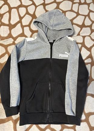 Костюм puma