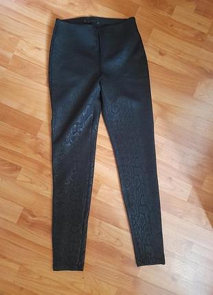 Нові лосини zara