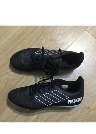 Adidas predator 18.4