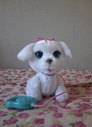 Танцующий щенок furreal friends gogo