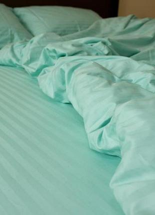 Stripe lux mint 1/1см (полуторний)