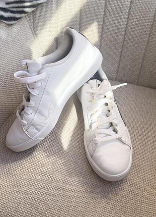 Кеди puma 39/25 см 725 6