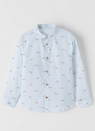 Сорочка на хлопчика zara 11-12р 152см