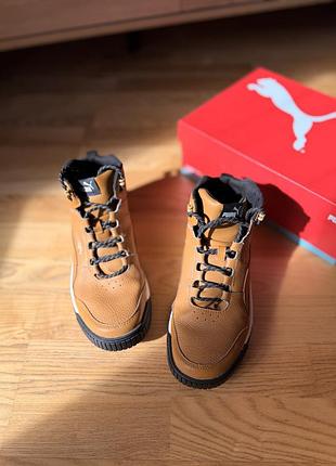 Черевики puma 6