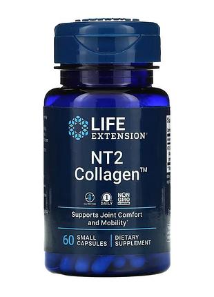 Nt2 collagen™ 40 mg - 60 small caps 4824371