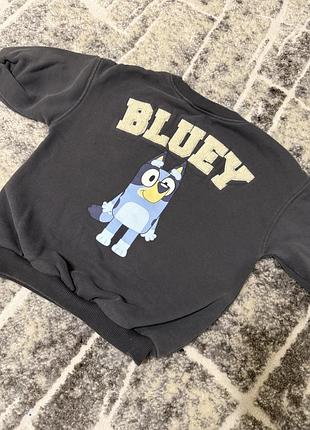 Світшот для хлопчика next bluey з флісом, сірий, розмір 86/92