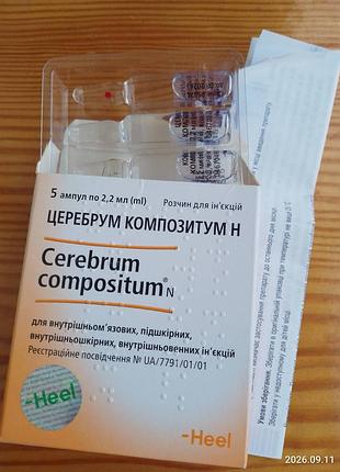 Раствор церебрум композитум н бад
