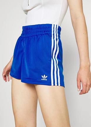 Жіночі шорти adidas originals