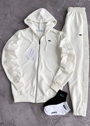 Чоловічий спортивний демісезонний костюм lacoste premium 🔮