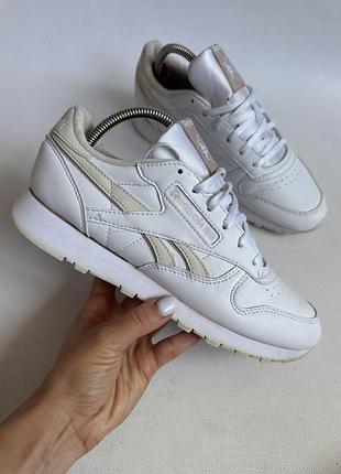 Кросівки reebok