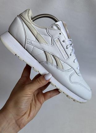 Кросівки reebok 7