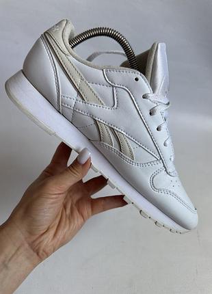Кросівки reebok 8