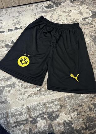 Спортивні шорти бренду puma
