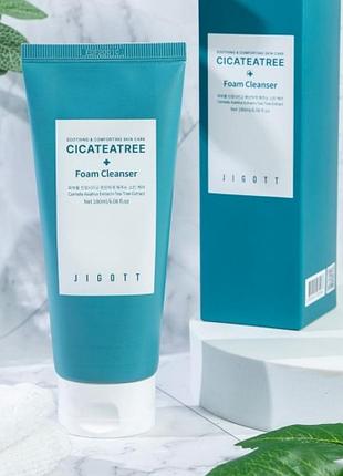 Очищающая пенка для лица с центеллой и чайным деревом jigott cicateatree foam cleanser