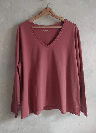 Реглан женский papaya u922,56р, 4xl хлопок, футболка