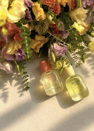 Orchid 30 ml