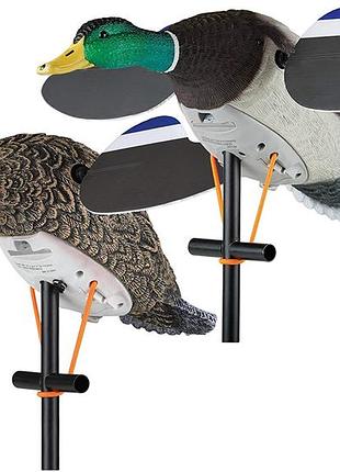 Lucky duck lucky pair іі