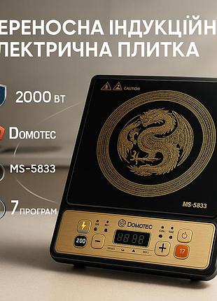 Профессиональная индукционная плита 220 вольт, качественная настольная электроплита do-63
