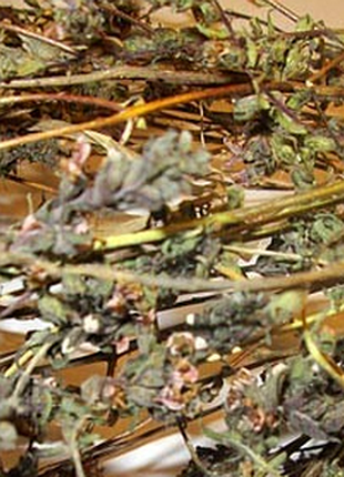 Трава рчанка 2025 года 100 грамм