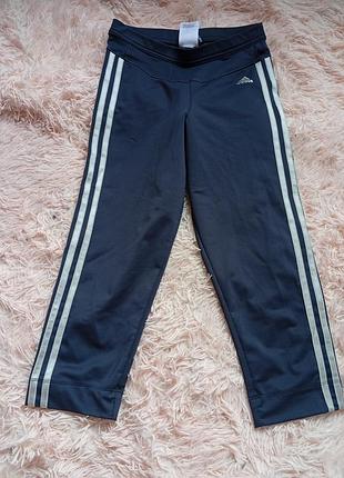 Спортивные велосипеды бренда adidas