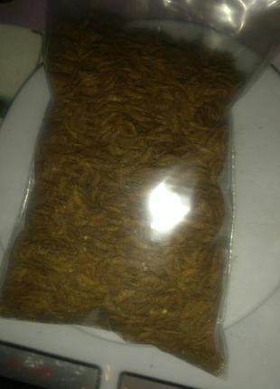 Аморфа фрутикоса (кусовая) 80 грамм