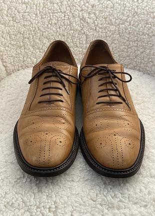 Оригінальні чоловічі шкіряні дербі / оксфорди gucci bee brogue leather shoes (made in italy)