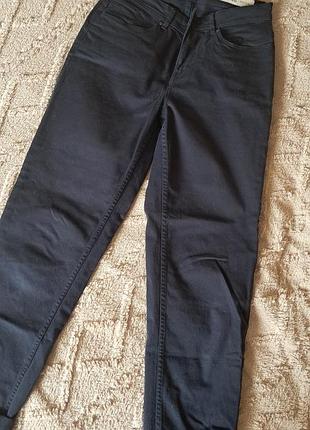 Брюки жіночі esmara темно-сині, eur 34