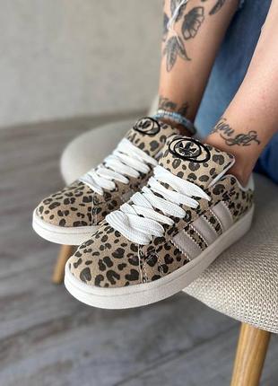 Adidas campus leopard 5