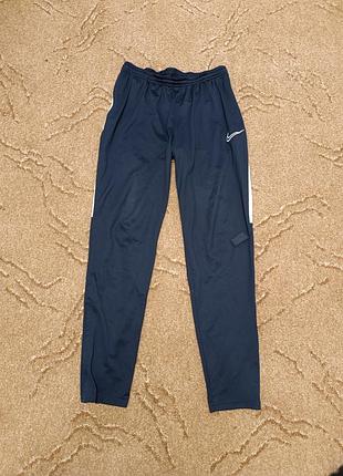 Спортивные штаны синие nike 2