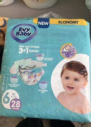 Evy baby 6
