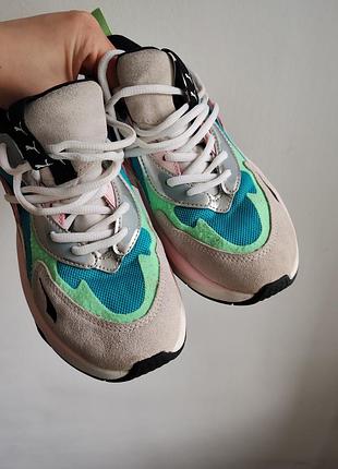 Кросівки puma різнокольорові 2