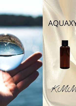 Aquaxyl (акваксил) увлажняющий комплекс - 30г