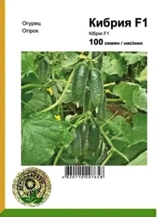 Огурец кибрия f1 - 100 семечек (агропакгруппа)