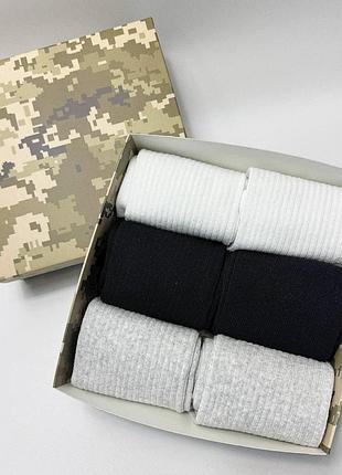 Бокс чоловічих шкарпеток в рубчик на 6 пар 40-45 у подарунковій коробці