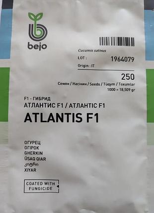 Огірок атлантіс f1 - 250 насінин, бейо