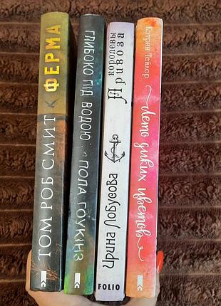 Лот художніх книг 2