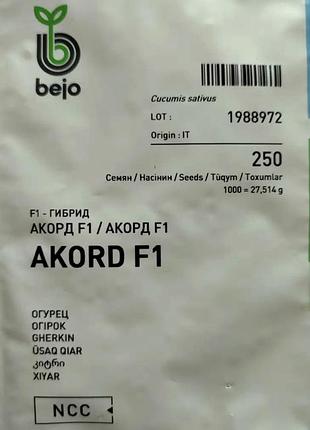 Огірок акорд f1 - 250 насінин, бейо
