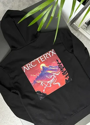 Худі arcteryx neon mountains 2
