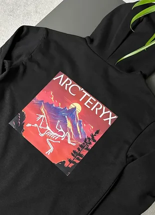 Худі arcteryx neon mountains 4