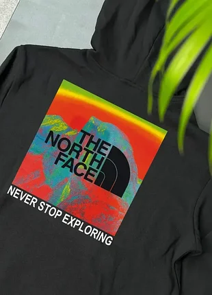 Худі the north face multicolor 2