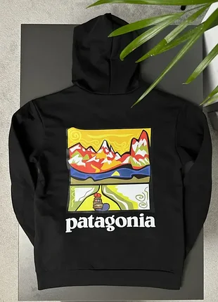 Худи patagonia retro road