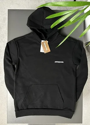 Худі patagonia retro road 4