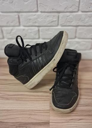 Кросівки adidas демісезонні