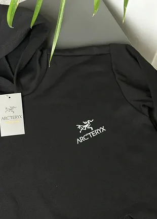 Худи arcteryx mini logo 2