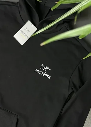 Худи arcteryx mini logo 3