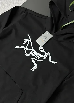 Худі arcteryx big logo 4