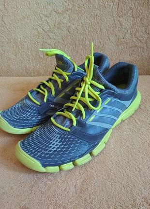 Кроссовки, кеди adidas