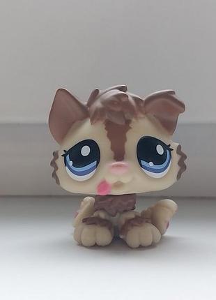 Lps littlest pet shop пет шоп фігурка собака цуценя петшоп little pet shop petshop фігурки іграшки іграшка собачка hasbro хасбро стоячки лсп пэтс шопы