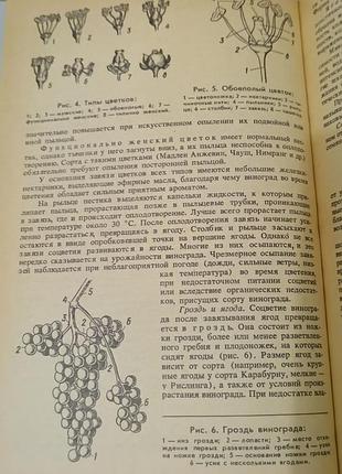 Настольная книга виноградаря. 1985.  176 стр. 9